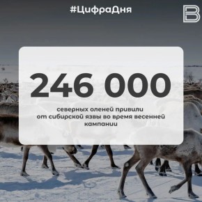 246 000 �������� ������ ������� �� ��������� ���� �� ����� �������� ��������