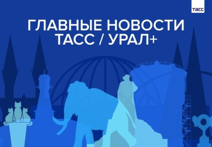 ������� ������� ���� / ����+ � ������ 6 ���: