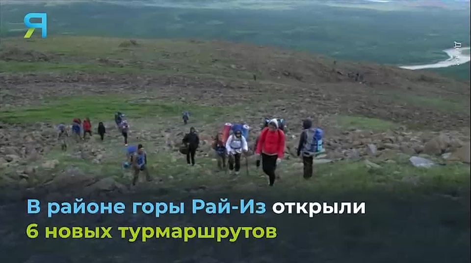 Новостной дайджест на «Ямал-Медиа»