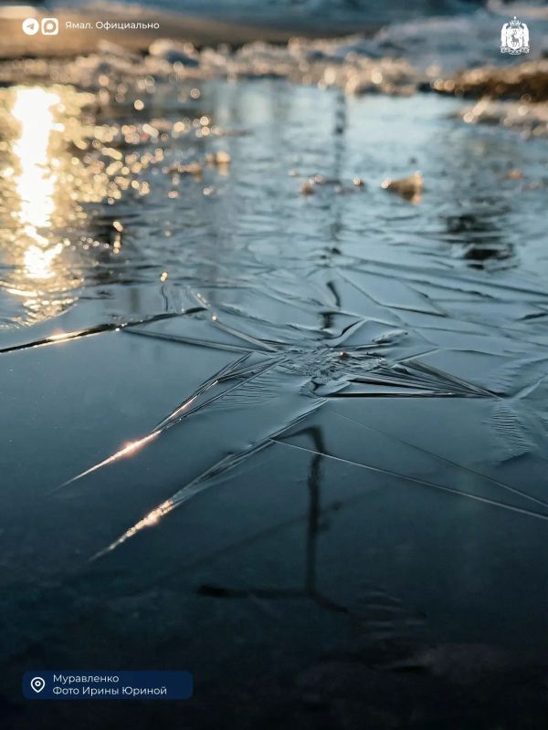 Ямальская весна на фотокарточках северян Ямальская весна на фотокарточках северян