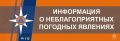 �� ������ ���������� 10 ��� �� ���������� ������ �������������� ��������������� �������� �������: