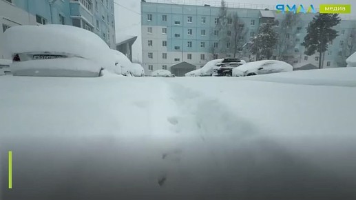 � ��������� ������ ���������� ���������� �����