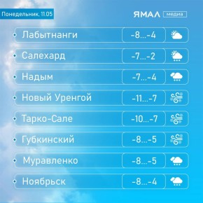 Весна ушла на выходные и попросила зиму её подменить