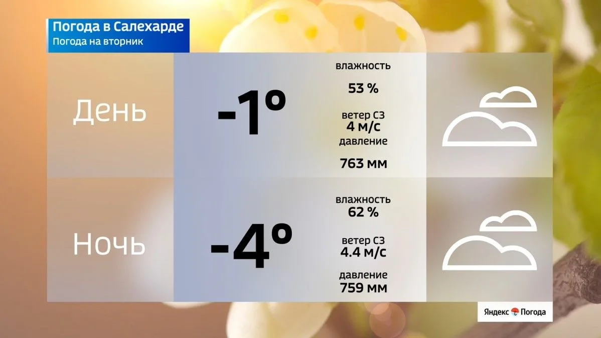 Майские морозы на Ямале: прогноз на 12 мая Майские морозы на Ямале: прогноз на 12 мая