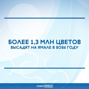 ���������� ������ �� ��������������� � ���������� ������� ��� �������������� �������