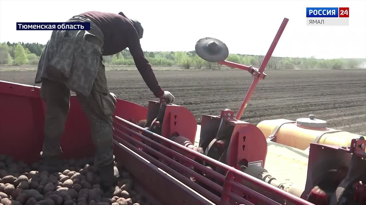 В Тюменской области стартовала активная фаза посевной