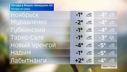 ������� ������: ������ �� ����� 13 ���