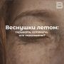 Веснушки летом: скрывать, оставить или нарисовать?