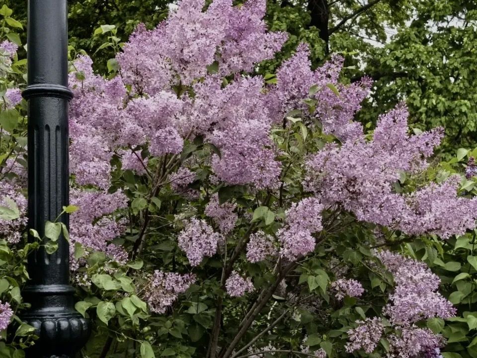 Доброе весеннее утро, Новый Уренгой! Доброе весеннее утро, Новый Уренгой!