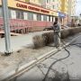 В Салехарде растениям устроили салон красоты на газоне