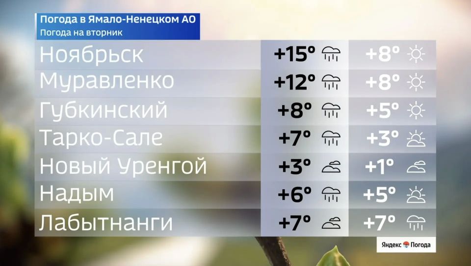 Резкое похолодание до +3°C ожидается на Ямале 19 мая