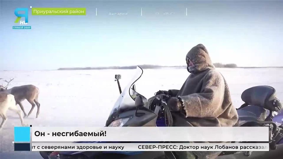 История о несгибаемом духе