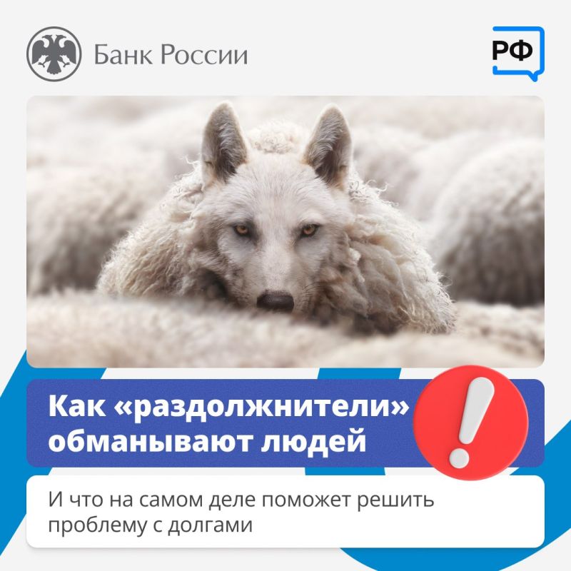 Кто такие «раздолжнители» и почему им не стоит доверять?