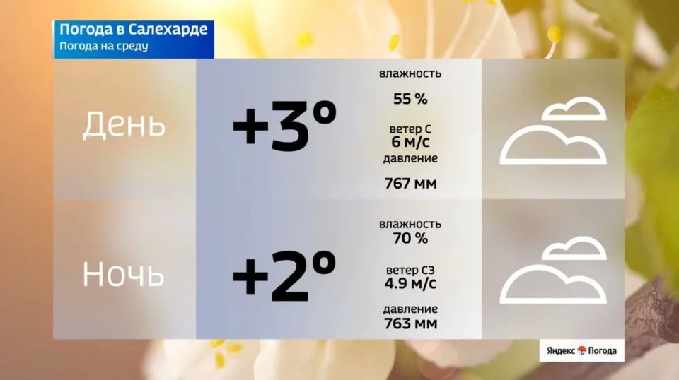 Межсезонье на Ямале пока не уступает место лету Межсезонье на Ямале пока не уступает место лету