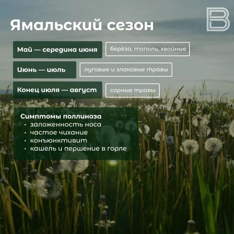 Весенняя аллергия: причины, симптомы и способы защиты Весенняя аллергия: причины, симптомы и способы защиты