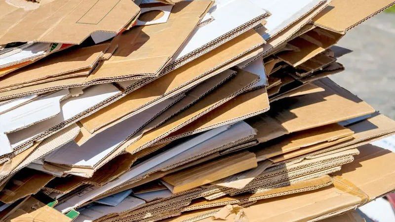Забота о природе измеряется тоннами: северное вторсырьё обретёт новую жизнь