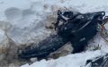 У Нового Порта спасли провалившегося снегоходчика