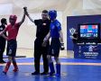 ��������������� ���������� ��������� ��� ������� �� ���������� ������ �� ����������� � ����