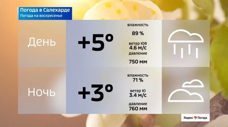 Лето близко: какая погода ждет ямальцев 24 мая Лето близко: какая погода ждет ямальцев 24 мая