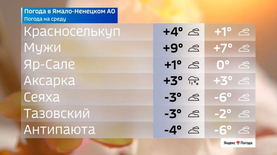 Погода в ЯНАО на 27 мая: регион разделят тепло и арктический холод Погода в ЯНАО на 27 мая: регион разделят тепло и арктический холод