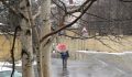 Времена – май: уже растаяли снега, и мир цвета свои меняет