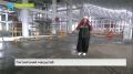 Гигантская снежная дюна посреди города: в Новом Уренгое активно продвигается возведение галереи