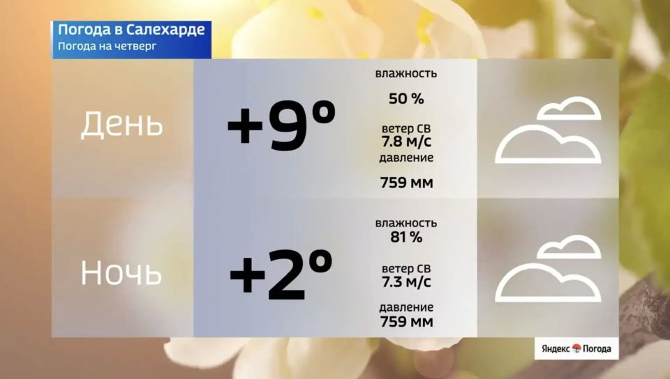 На Ямале 28 мая ожидается усиление ветра На Ямале 28 мая ожидается усиление ветра