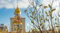 С Троицей, Салехард!. Сегодня православные верующие отмечают один из главных праздников — День Святой Троицы