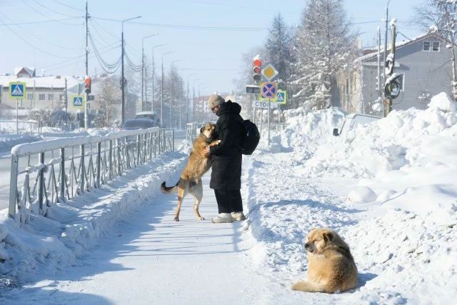 Вернитесь в зиму на минуту