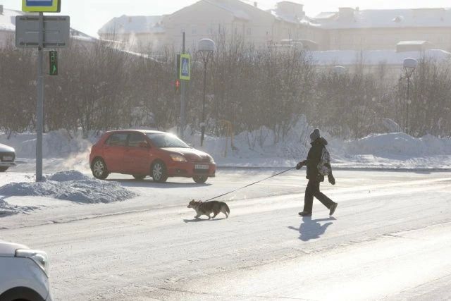 Вернитесь в зиму на минуту Вернитесь в зиму на минуту