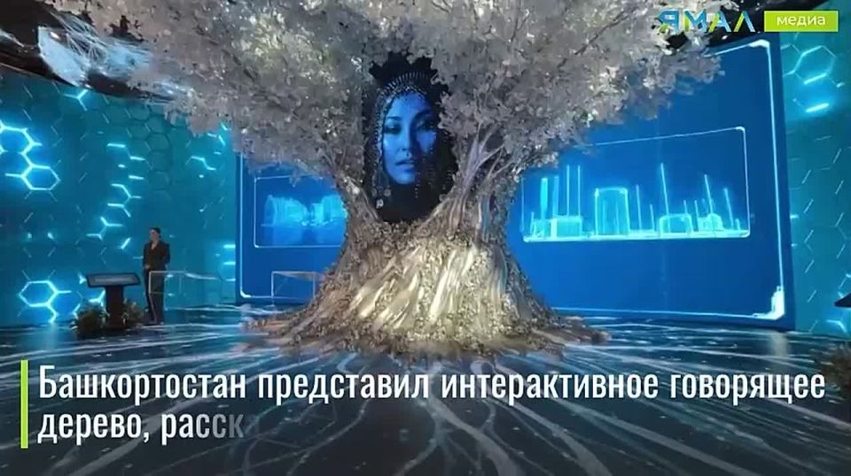 Крылья, роботы и говорящее дерево: чем удивляют регионы гостей форума