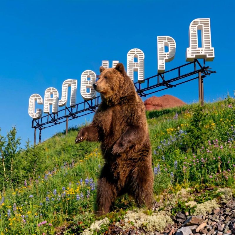 Дайджест самых обсуждаемых событий уходящей недели Дайджест самых обсуждаемых событий уходящей недели