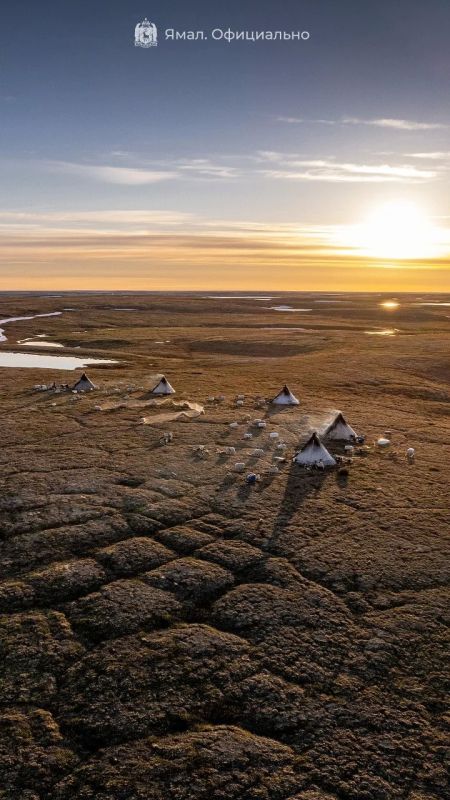 Пока ждём умопомрачительных фотографий из поездки губернатора в Пуровскую тундру, достали из архивов лучшие кадры из прошлых выездов Пока ждём умопомрачительных фотографий из поездки губернатора в Пуровскую тундру, достали из архивов лучшие кадры из прошлых выездов