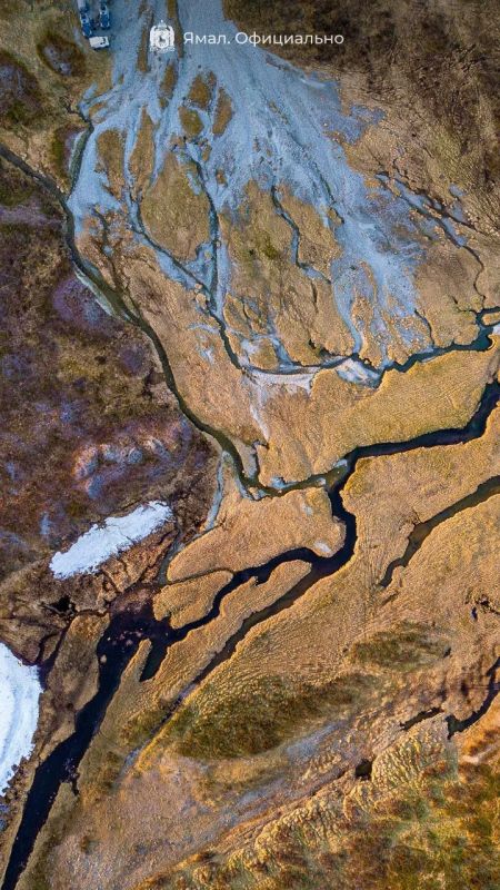 Пока ждём умопомрачительных фотографий из поездки губернатора в Пуровскую тундру, достали из архивов лучшие кадры из прошлых выездов Пока ждём умопомрачительных фотографий из поездки губернатора в Пуровскую тундру, достали из архивов лучшие кадры из прошлых выездов
