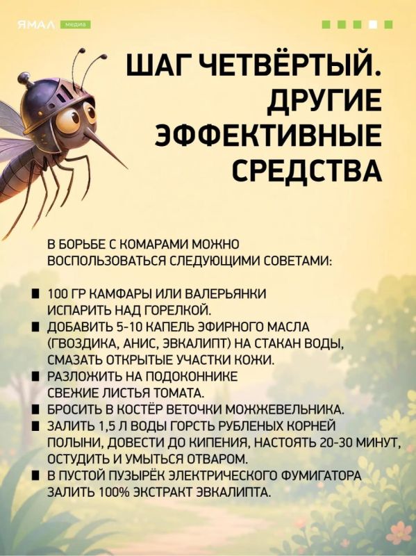Настырный, пискливый и вредный гнус: как перестать быть привлекательными для комаров Настырный, пискливый и вредный гнус: как перестать быть привлекательными для комаров