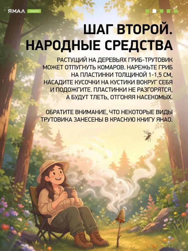 Настырный, пискливый и вредный гнус: как перестать быть привлекательными для комаров Настырный, пискливый и вредный гнус: как перестать быть привлекательными для комаров