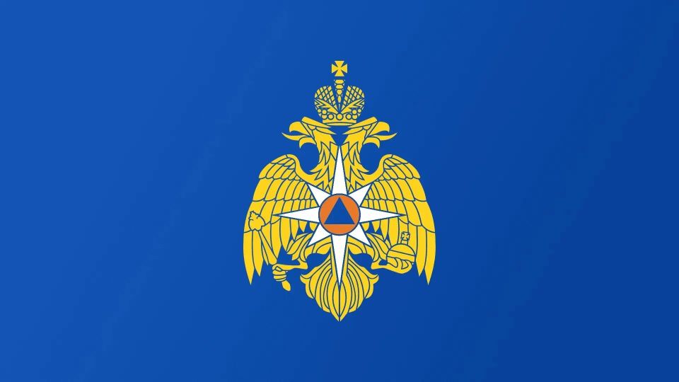 МЧС России рассказывает: какие документы подтверждают наличие у добровольного пожарного соответствующей квалификации