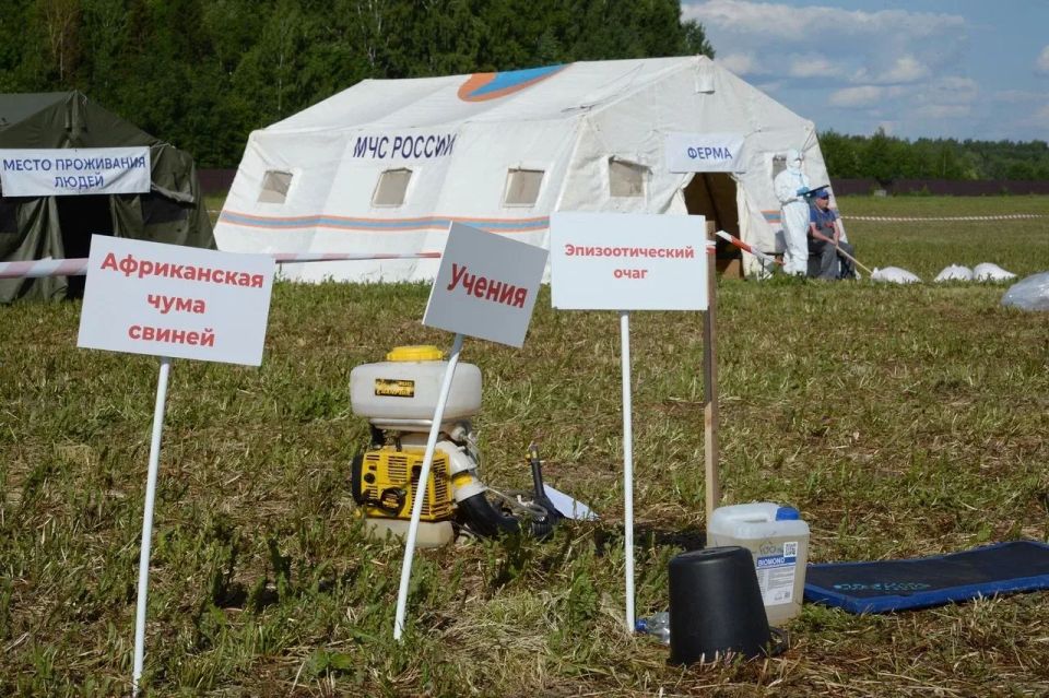 Совещание в Кирове. Руководитель госветлужбы ЯНАО Евгений Попов принял участие в ежегодном зональном совещании Минсельхоза России среди субъектов Приволжского и Уральского федеральных округов Совещание в Кирове. Руководитель госветлужбы ЯНАО Евгений Попов принял участие в ежегодном зональном совещании Минсельхоза России среди субъектов Приволжского и Уральского федеральных округов