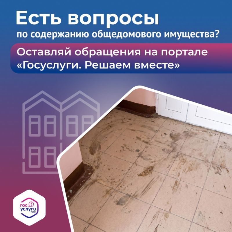Не моют полы в подъезде? Сообщить о проблеме очень просто