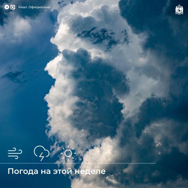 Ветер, грозы и +30°С ждут ямальцев на этой неделе