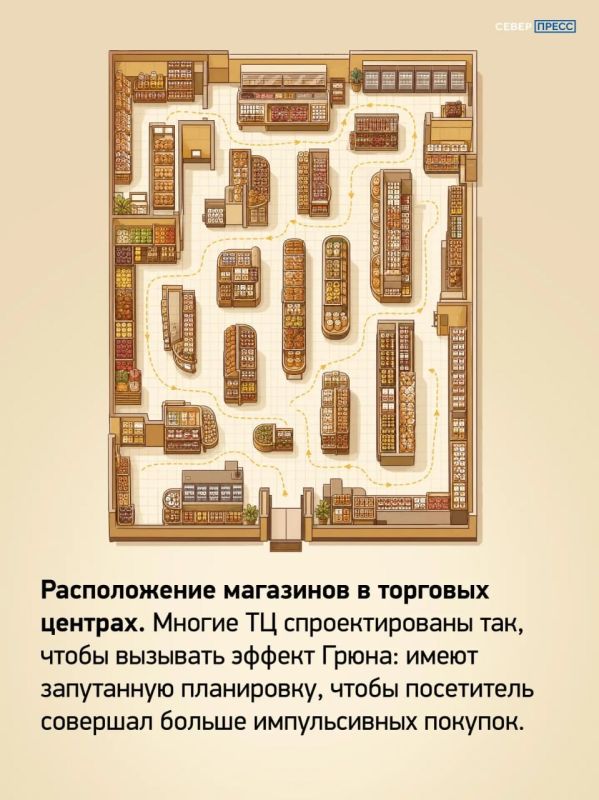 «Я просто зашел за хлебом, а купил целый пакет продуктов» «Я просто зашел за хлебом, а купил целый пакет продуктов»