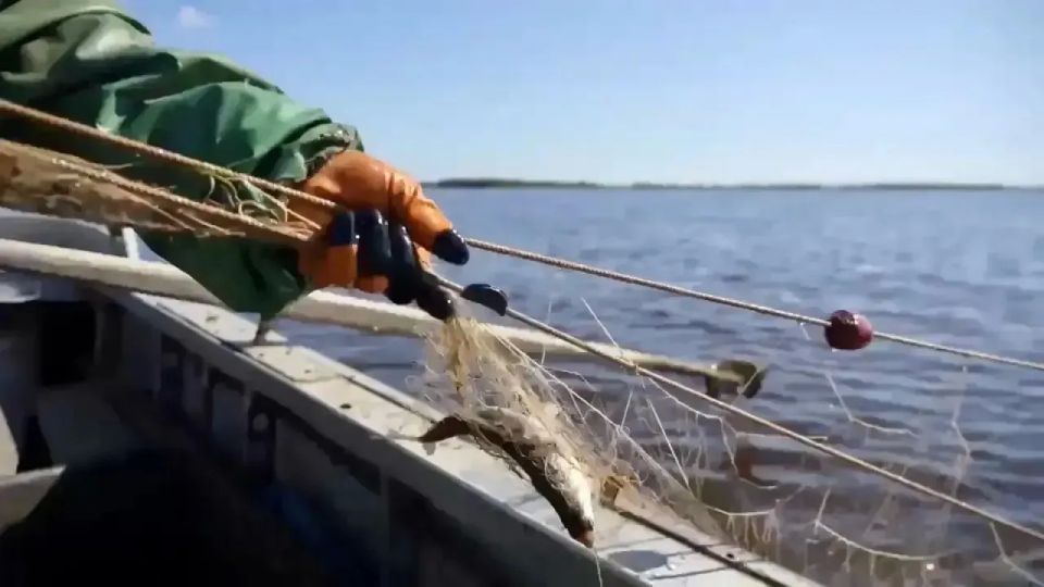 Своё звено: успех — в личной ответственности каждого Своё звено: успех — в личной ответственности каждого