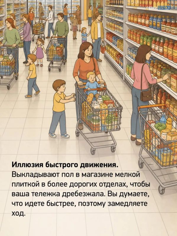«Я просто зашел за хлебом, а купил целый пакет продуктов» «Я просто зашел за хлебом, а купил целый пакет продуктов»