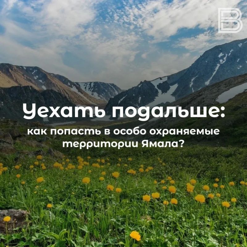 Уехать подальше: как попасть в особо охраняемые территории Ямала Уехать подальше: как попасть в особо охраняемые территории Ямала
