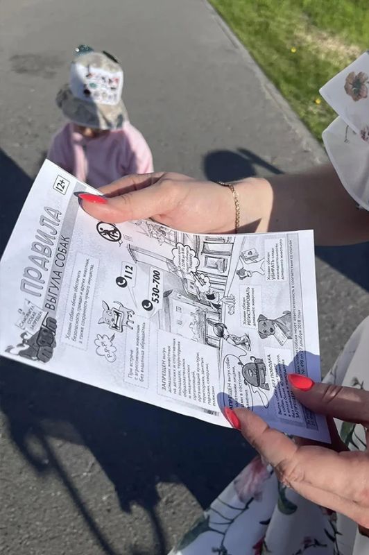 Владельцам собак напомнили о правилах выгула домашних животных Владельцам собак напомнили о правилах выгула домашних животных