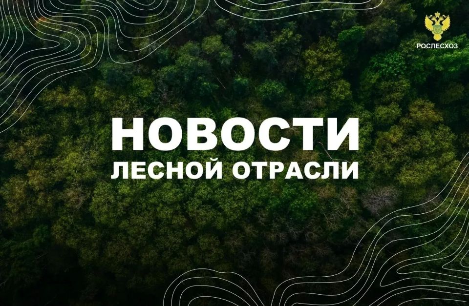 Известия: Патрушев отметил эффективность мер по контролю природных пожаров