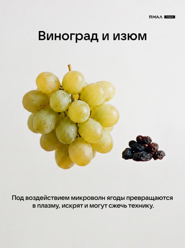 СВЧ-печь: от горячего супа до взрывного изюма СВЧ-печь: от горячего супа до взрывного изюма
