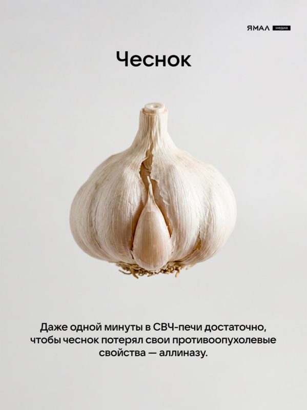 СВЧ-печь: от горячего супа до взрывного изюма СВЧ-печь: от горячего супа до взрывного изюма