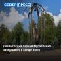 В Муравленко началась обработка парков от комаров и мошки