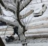 Зимние приключения в снежной сказке: дачные хроники января 2026 года